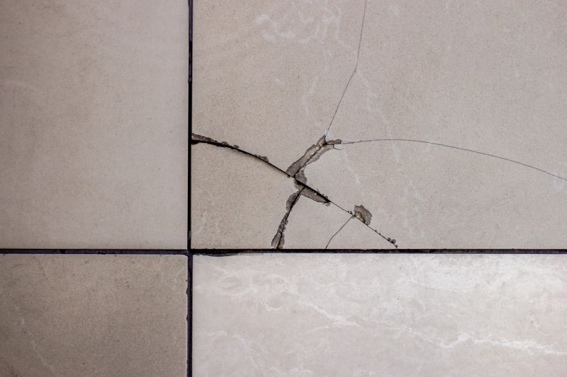 Tile Repair and Restoration